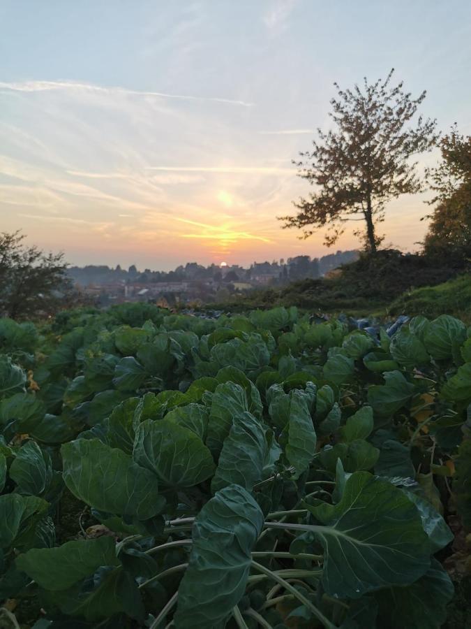 Agriturismo Teresa Delle Fragole Vigano Bagian luar foto