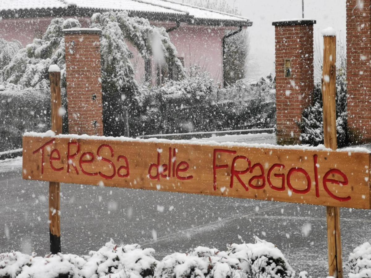 Agriturismo Teresa Delle Fragole Vigano Bagian luar foto